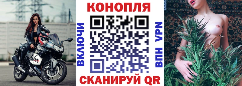 Где купить Кубинка ГАШИШ Alpha PVP Псилоцибиновые грибы КОКАИН МЕФ
