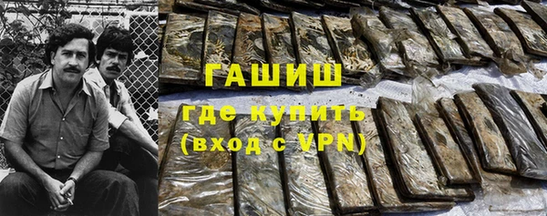спайс Аша