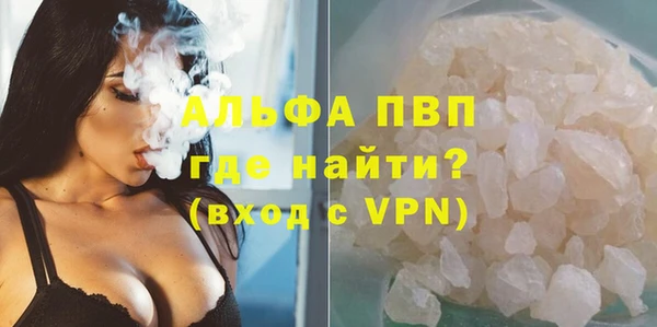 шишки Нея