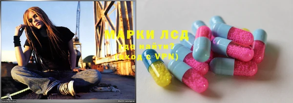 шишки Нея