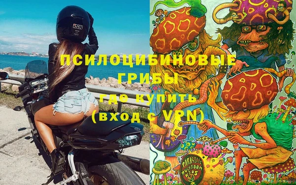 альфа пвп Нефтегорск