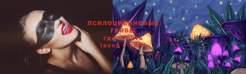 Псилоцибиновые грибы Psilocybe  Кубинка 