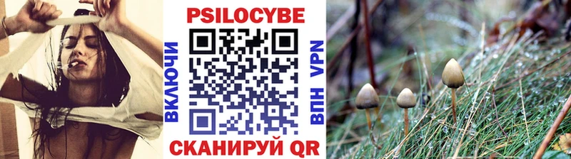 Псилоцибиновые грибы прущие грибы  Кубинка 