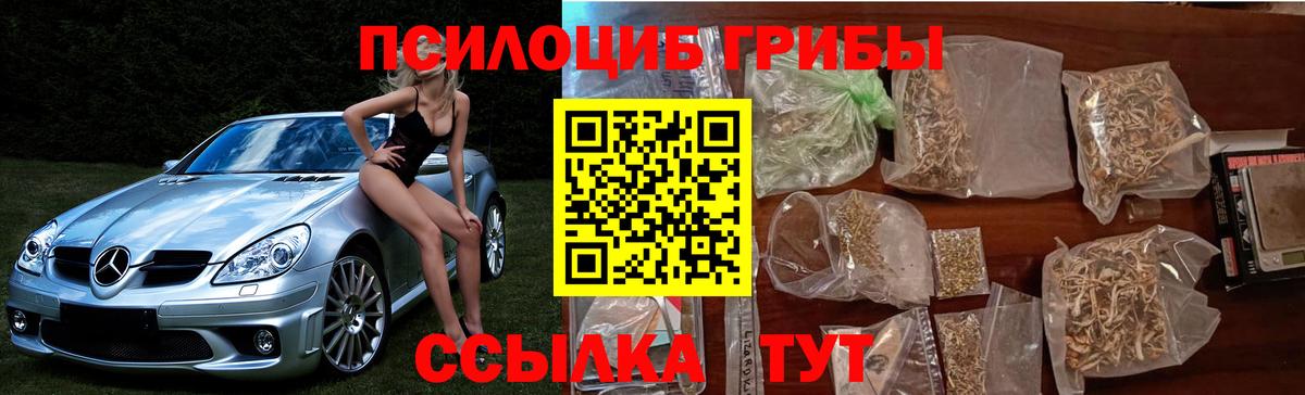 Галлюциногенные грибы мицелий Кубинка